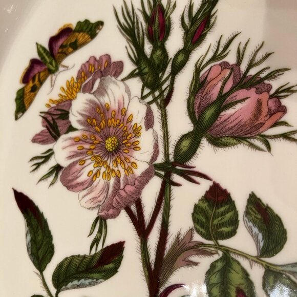 Portmeirion Botanic Garden Au Gratin Dish - Picture 6 of 9